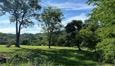 photo_4983627132995481203_y-1-1920x822